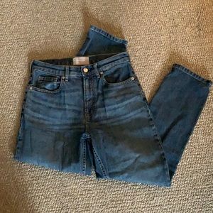 Everlane Cheeky Jean- 27 Crop